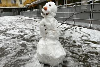 Pierwszy śnieg w Poznaniu [GALERIA]