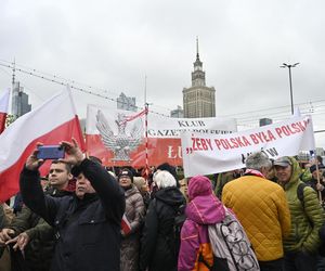 Narodowy Marsz Przeciw Imigracji