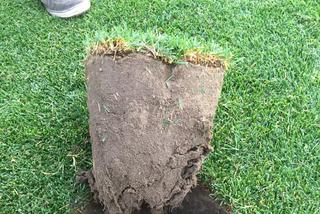 Nowa murawa na Stadionie Śląskim