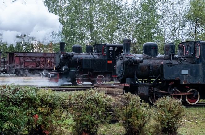  170‬ urodziny Górnośląskich Kolei Wąskotorowych w Bytomiu