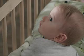 Pierwsza miłość odc. 3809. Norbert - syn Emilki i Bartka