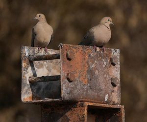 To koniec Los Angeles?! Miasto gwiazd może nie podnieść się po pożarach