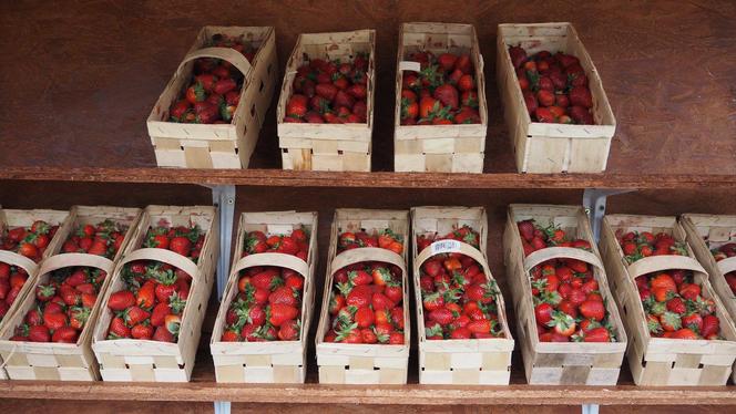 Pierwsze, polskie truskawki w sprzedaży. Na razie spod folii