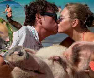 Wakacje ze świnkami! Rubikowie na Bahamach mają niecodzienne towarzystwo