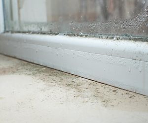 Dodaj do wody 5 kropli i przetrzyj ściereczką. Problem pleśni wokół okien zniknie od razu. Sposób na pleśń przy oknach 