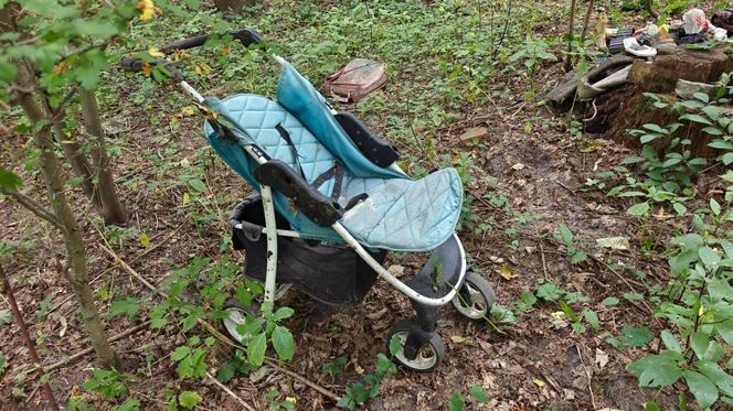 Zgroza w lesie pod Świeciem! Martwy pies w worku foliowym ze związanymi łapami. Policja szuka sprawcy bestialskiego czynu