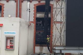 Zabytkowa Fabryka Lloyda w Bydgoszczy doszczętnie spłonęła. Z ogniem walczyło 40 strażaków