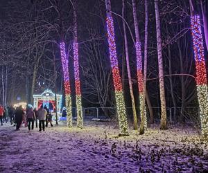 Odwiedziłam Ogród Świateł w Gdyni. Poczuj ze mną magiczny klima