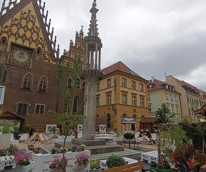 Jarmark Świętojański już działa! Zobacz, jak wygląda teraz wrocławski Rynek