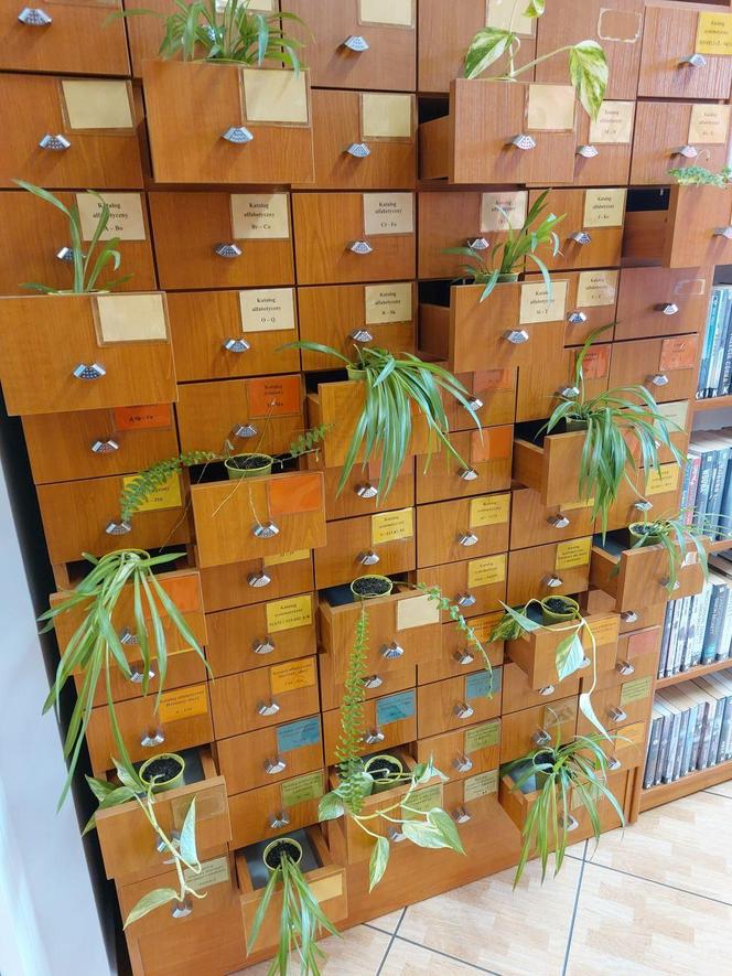 Bibliotekarze z Piekar Śląskich zachęcają do dzielenia się zielonym na Facebooku