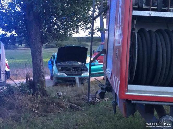 Tragiczny wypadek pod Sępólnem Krajeńskim! Nie żyje mężczyzna [ZDJĘCIA] 
