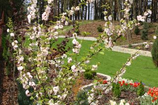 Kwiecień w ogrodzie