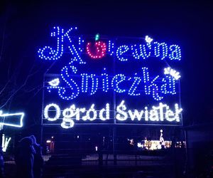 Pokaz dronów na Arkonce