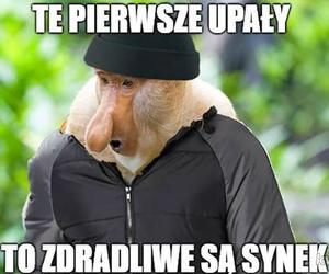 Przywołujemy wiosnę! Jedni topią Marzannę, a inni robią MEMY