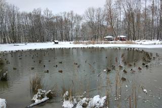 Śnieg zasypał Tarnów, teraz czas na mróz. Będzie PRZEŹLIWIE zimno