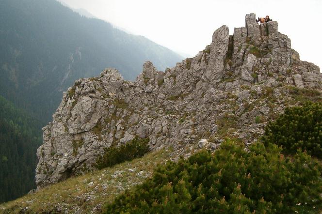 Sarnia Skała, Tatry