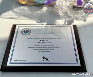 Wiernie służyli przez 10 lat. Kałam, Lejmur i Karzeł odeszli na zasłużoną emeryturę