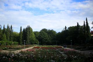 Siedem faktów z historii szczecińskiej Różanki. To najpiękniejszy ogród w mieście! [ZDJĘCIA]