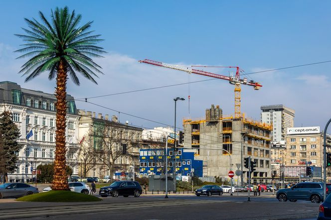 Na skwerze obok warszawskiej palmy rośnie apartamentowiec