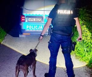  ZŁodzieje ukradli pitbulla.