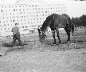 Poznaj nieopowiedziane historie Placu Grunwaldzkiego we Wrocławiu