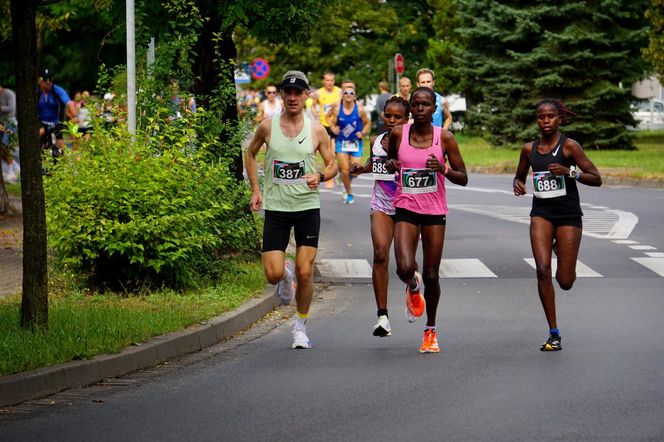 Półmaraton Piła