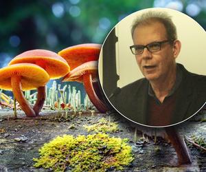 Mordercze grzyby mutanty zagrażają ludzkości! Naukowiec ostrzega