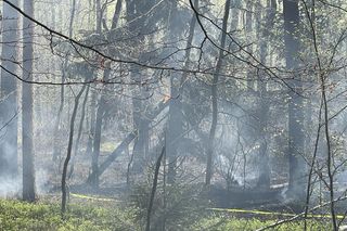 Płoną lasy w powiecie bocheńskim