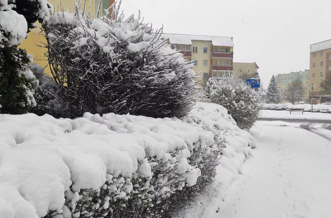 Białystok. Kwietniowy atak zimy. Osiedle pod śniegiem