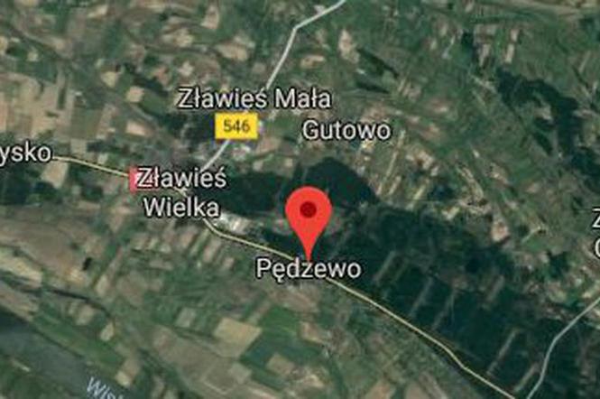 Pędzewo