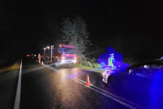 Śmiertelny wypadek pod Zgorzelcem. Kierujący osobówką zginął, dziecko zostało ranne [ZDJĘCIA]