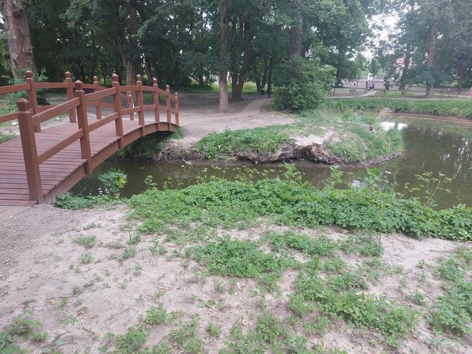 Park im. Szafera w Rzeszowie 