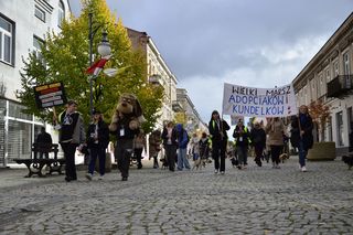 Wielki marsz adopciaków w Radomiu