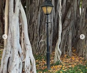 Ten wpis Anity Werner poruszył tysiące osób. Nikt się tego nie spodziewał!