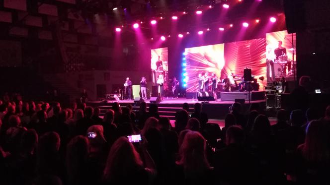 Gala finałowa "Twój biznes pod areną sukcesu"