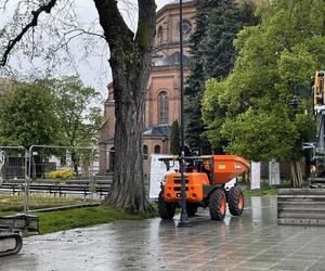 Społecznicy sprawdzili, co się dzieje ze starymi drzewami podczas rewitalizacji placu Wolności 