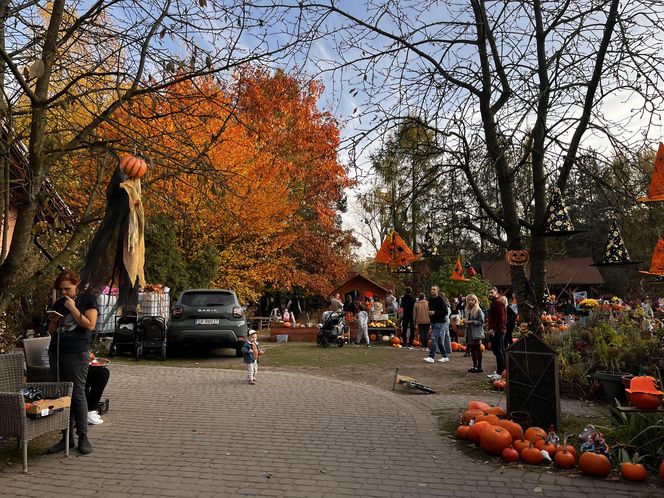 Zagroda 3 siostry w Kamieniu przyciągnęła całe rodziny w ciepły jesienny weekend ZDJĘCIA