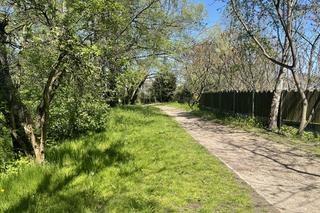 Kraków ma najdłuższy park w Polsce. Poznajcie Młynówkę Królewską! 