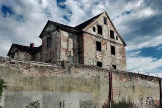 Ruiny zamku w Ełku. Tajemnicze miejsce na półwyspie robi wrażenie [ZDJĘCIA]
