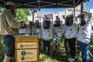 To będą rekordowe obchody Dnia Pszczoły w Sosnowcu. 20 maja w piątek odbędzie się  kilkadziesiąt imprez na terenie całego miasta