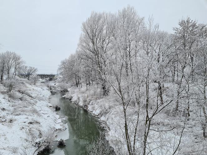 Zima na Podkarpaciu. Niezwykłe krajobrazy [ZDJĘCIA]