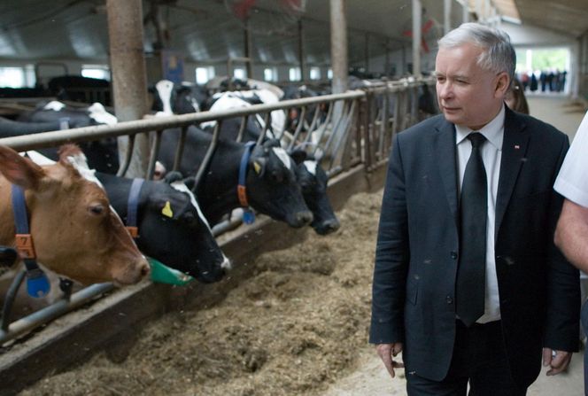 AI wybrała 5 najlepszych polityków w Polsce ostatnich 30 lat!