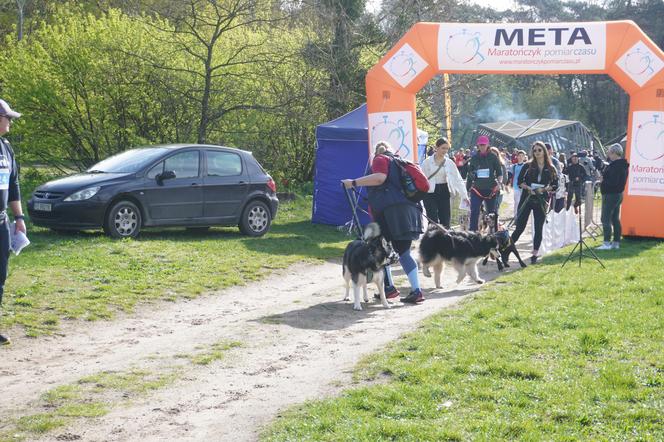 Dogtrekking w Poznaniu