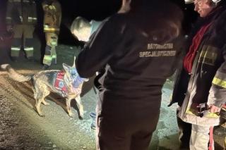 43-latek szukał poroża i zgubił się w lesie. Finał olbrzymiej akcji ratunkowej