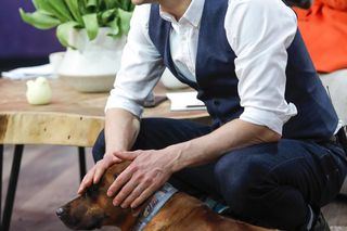 Były gwiazdor TVP ma poprowadzić Halo tu Polsat! W stacji huczy od plotek