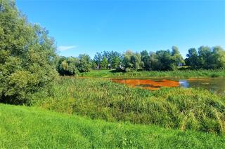 Zanieczyszczone Jezioro Słoneczne w Szczecinie