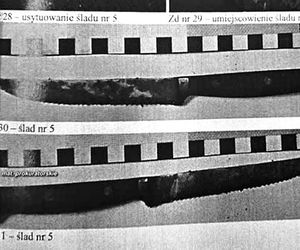 Masakra w warszawskiej redakcji. Cezary S. urządził jatkę. Zasztyletował byłego wspólnika i zdetonował granat
