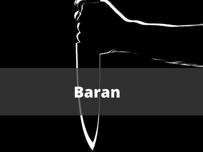 5. Baran 
