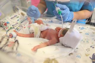 Horyniec-zdrój. Oto najszczęśliwszy dziadek w Polsce. O narodzinach pięcioraczków dowiedział się pierwszy [GALERIA] 