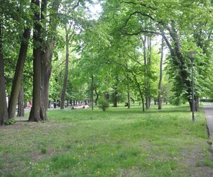 Park Miejski w Kielcach. Wiosna 2025